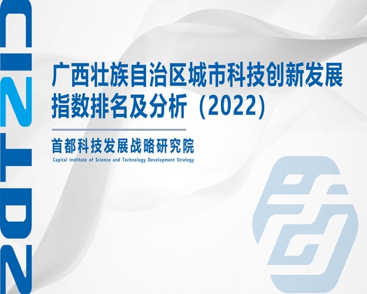 美女艹bb【成果发布】广西壮族自治区城市科技创新发展指数排名及分析（2022）